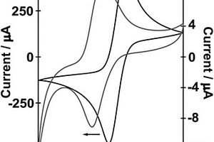 基于氮掺杂碳量子点的电致化学发光传感器及其制备方法和应用