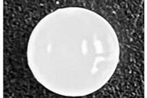 化学发光水凝胶微珠的制备方法、制得的水凝胶微珠及其应用