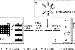 高灵敏可抛式多组分化学发光成像免疫传感器