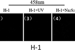 通过光调控精确检测线粒体内H2S2的荧光探针及其制备方法和应用