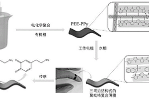 全聚合物自支撑性电极的制备及其在柔性电化学传感器的应用