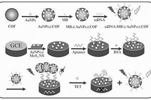 基于共价有机框架的荧光/电化学双模态纳米传感器的制备方法及其用途