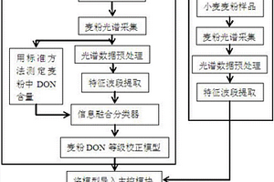 基于近红外光谱的小麦感染赤霉病等级检测方法