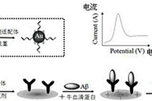 检测β-淀粉样蛋白寡聚体的类免疫电化学传感器及其制备方法
