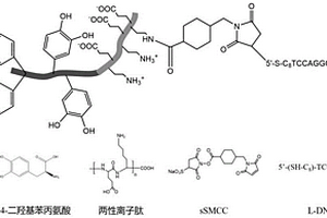 可更新电化学传感器及其构建方法和应用