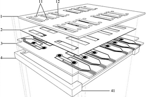 多通道微阵列丝网印刷电化学传感装置