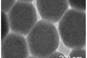 基于锰基金属卤化物的光电化学生物传感器、制备方法及其应用