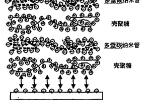 壳聚糖固定化乙酰胆碱酯酶电化学生物传感器及应用