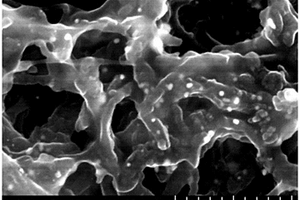 镶金的碳纳米管接枝二茂铁聚合物纳米复合电化学传感材料及其制备方法和应用