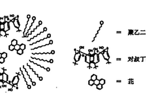 自组装型荧光化学传感器