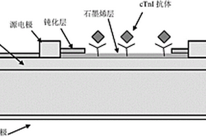 基于石墨烯的化学或生物传感器及其制作方法