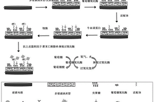 电化学生物传感器及其制备方法和应用