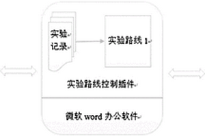 生物化学实验路线记录方法