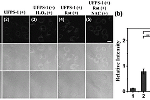 通过光调控精确检测生物体内H<Sub>2</Sub>O<Sub>2</Sub>的荧光探针及其制备方法和应用