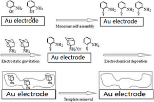 金刚烷胺分子印迹膜电化学传感器的制备方法