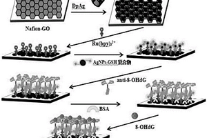 电致化学发光免疫传感器