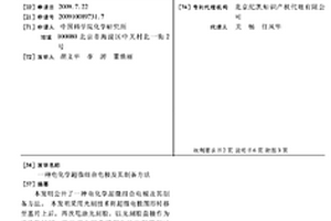 电化学超微组合电极及其制备方法