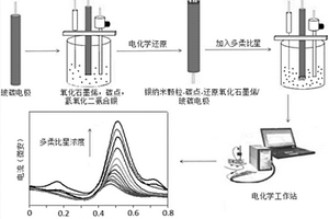 树枝状纳米复合物多柔比星电化学传感器的制备方法