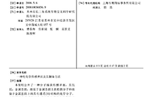 电化学传感界面及其制备方法