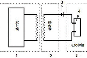 电化学发光装置