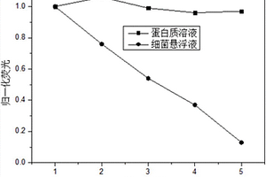 接枝共聚制备抗蛋白干扰能力的细菌检测膜及细菌检测的方法