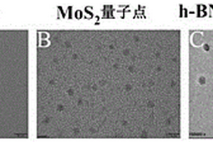 可实现靶向光热和化学协同治疗的h-BN/MoS2纳米探针及其制备方法和应用