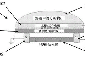 电化学FET传感器