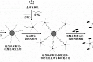 基于纳米颗粒和化学发光的核酸适体传感器及制备方法和应用