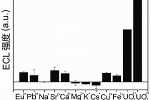 用于检测痕量铀酰离子的探针及基于其的便携式ECL检测器