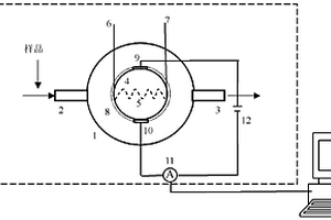 电化学球型纳米传感器