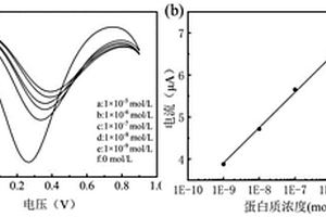 基于电活性天然大分子胶束的超灵敏蛋白质分子印迹电化学传感器及其制备方法和应用