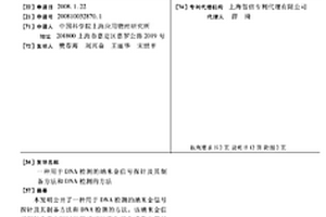 用于DNA检测的纳米金信号探针及其制备方法和DNA检测的方法