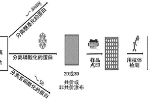 用于分析蛋白修饰的化学上官能化的阵列