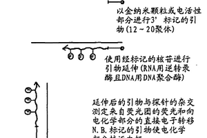 使用光学和电学测量方法检测分析物