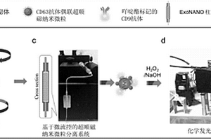 基于微流控和化学发光免疫分析的超顺磁纳米微粒外泌体分离检测系统及其应用