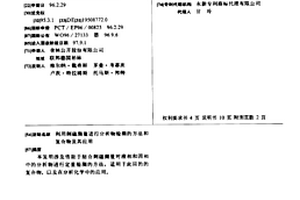 利用剩磁测量进行分析物检测的方法和复合物及其应用