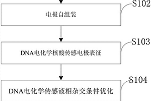 DNA甲基化特异位点的电化学分析方法