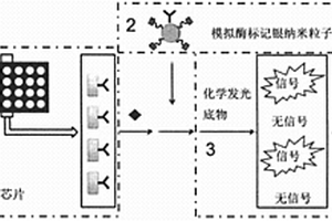 基于模拟酶标记银纳米粒子的高灵敏化学发光免疫分析方法