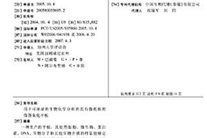 用于可寻址的生物化学分析的具有微托板的微图案化平板