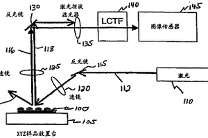 生物细胞和其它对象的动态化学成像