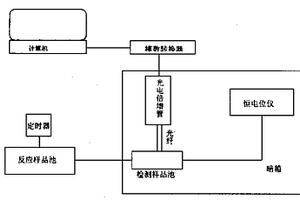 用电化学发光PCR进行基因检测的方法及其装置