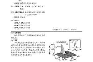 电化学发光剂、生物检测试剂及电化学免疫测试方法