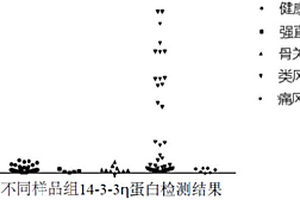 检测14-3-3eta蛋白的化学发光免疫检测试剂盒及其应用