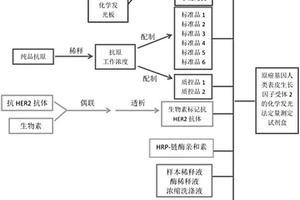 检测原癌基因HER2的化学发光酶免疫检测试剂盒及应用