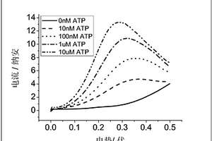 用于快速检测非稳定物质的电化学传感器及利用其快速定量检测ATP的方法