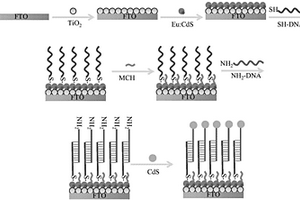 检测MUC1粘蛋白的光电化学免疫传感器及其制备方法和检测方法
