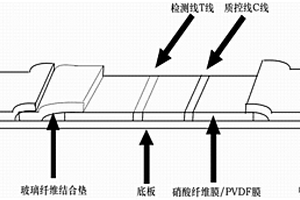 基于点击化学的检测试纸条、检测方法和应用