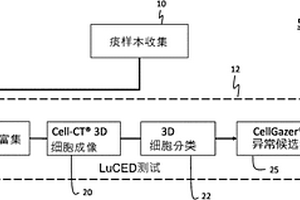 用于自动检测和监测发育异常和施用化学预防的系统和方法