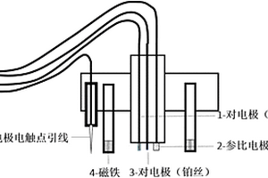 用于浪花飞溅区腐蚀检测的电化学传感器及检测方法