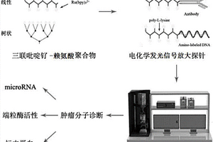 运用电化学发光成像识别技术的生物标志物检测方法